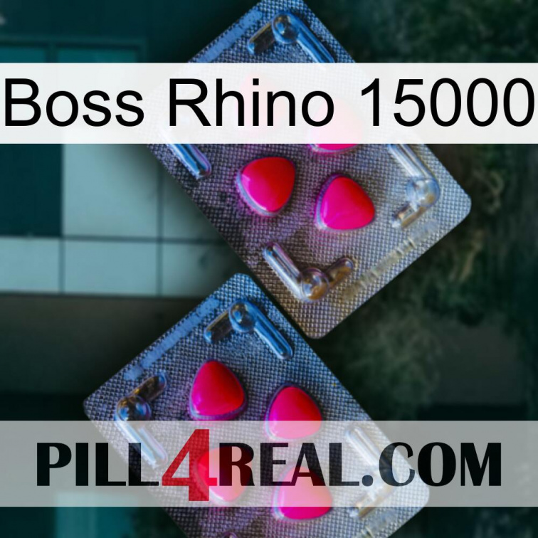 Boss Rhino 15000 14